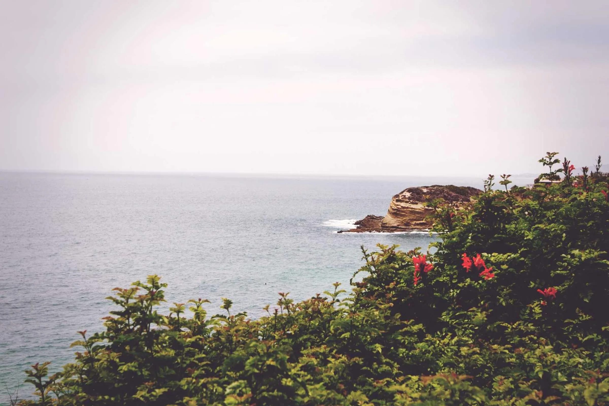 A rocky headland covered in low shrubs above a calm, hazy sea.