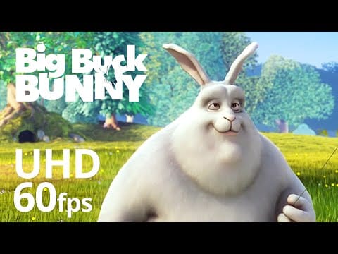Big Buck Bunny (sample embed)